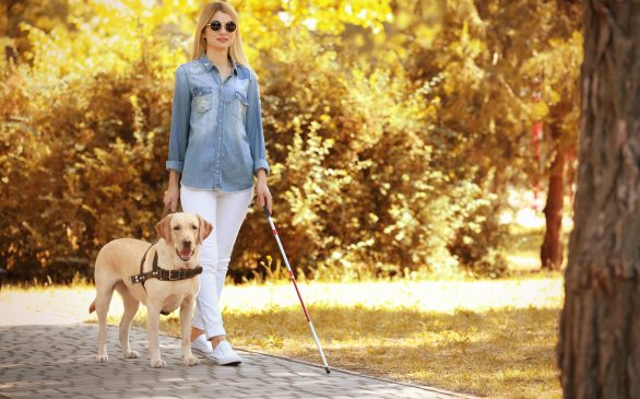 young woman walking down a sidewalk with a cane, dark glasses, and a guide dog