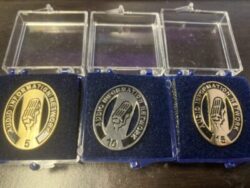 3 pins with AINC logo and year mark engraved.